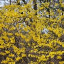 월명1길 이미지