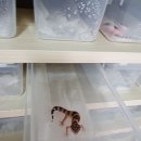 한신트레이딩 이미지