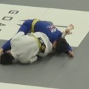 오즈코리아 | 오즈주짓수는 강했다 (허경환 허닭 주짓수 시합후기)