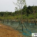 다산조경개발(주) 이미지