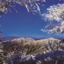 [단양여행] 단양 가볼만한 곳 베스트 10