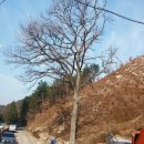 포항시북구8 이미지