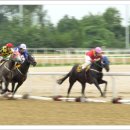 경마장가는길 이미지