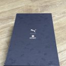 푸마두타점