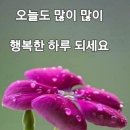 에이스환경 이미지