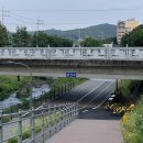 구성파출소 앞 횡단보도 이미지