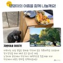 달과7펜스 이미지