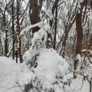영수사 - 1532 | 진천의 명산 두타산(598m) 겨울 눈 산행 등산코스 영수사 원점 산행