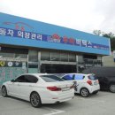 옥썬팅