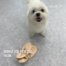 한일떡방 | (밀린) 5월 일상 일기