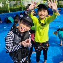 한라태권도 5관 이미지