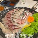 서귀포 자구리공원 근처 오션뷰 횟집 추천 | 영빈횟집 내돈내산 후기