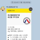 11/19(화) 한돈 지육가입니다 이미지