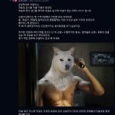 라코 이미지