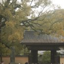 라쿠 | 후쿠오카 유후인, 다자이후, 벳푸 버스투어(라쿠 투어) 내돈내산 후기