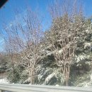 이끎 | 1년 후의 나에게 편지를 쓰다[2026년 계획 세우기 후기]