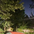 반포종합운동장 이미지