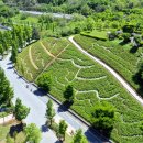 철쭉동산 이미지