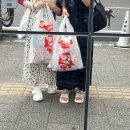 세븐일레븐도고로드점 | 마츠야마 2일차/내 캐리어 괜찮을까?