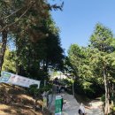 상락원 | 부산근교 진주 마켓진양호 애견동반 야외카페 추천