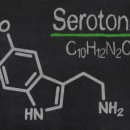 믹스짐 계산점 이미지