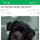 애니티코리아 이미지