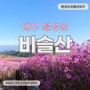 유가읍 행정복지센터 앞 | 대구 비슬산 진달래 군락지- KTX타고 비슬산 자연 휴양림에서 천왕봉 코스