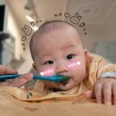 스푼 | 초기 이유식 준비물 : 세이지스푼풀 이유식용기&amp;스푸니 이유식스푼 후기