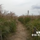 유성구청 7층 이미지