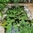 도원공원 내 이미지