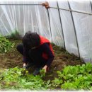 서면해피하우스 이미지