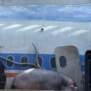 사천유치원 | 경남 사천 아라마루 아쿠아리움 회전목마 관람차 동물원 주차 예매 가격