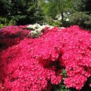 대연수목전시원 이미지