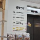 청주 봉명동 아이캣유 신상 고양이카페 내돈내산후기