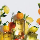 플라워 스타일링 이미지