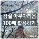 올림픽로100(커피빈앞) | 잠실 아쿠아리움 연간회원권 100배 활용 꿀팁 (feat. 롯데타워 &amp; 석촌호수)