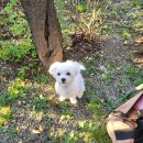 목동동로1길 이미지