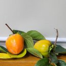 문화정보도서관 이미지