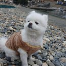 항촌소공원 이미지