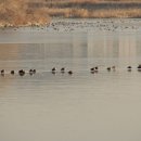 서호공원 이미지