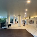 토크콘서트 공연산책 (5월) 이미지