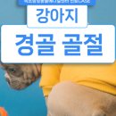 인제메디컬센터 이미지