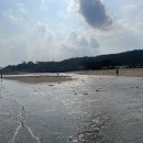 보성아구찜 티스토리
