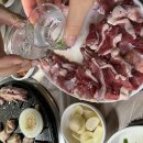 성주돈오리 | 경주 맛집 : 싱싱한 생 오리구이가 맛있는 "성주 돈 오리"