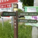 담양오방길1코스(수목길) | 전남 담양 오방길 1코스 수목길