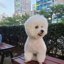 천옥탕 | 부산 초읍동 천옥탕 cctv 설치를 마치고..