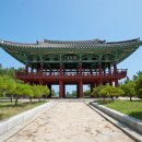 월송정 이미지