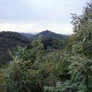 용미1리 이미지