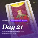마이라이트 타로 상담가 데뷔 학습지 후기 4주차 Day03 I 20강 타로카드로 보는 MBTI(재미)