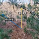 대성장묘 이미지